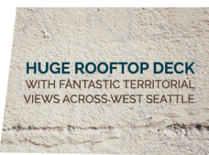Huge Rooftop Deck | The Bluestone Apartments | 1 & 2 Bedroom Apartments in West Seattle | Seattle, WA 98106